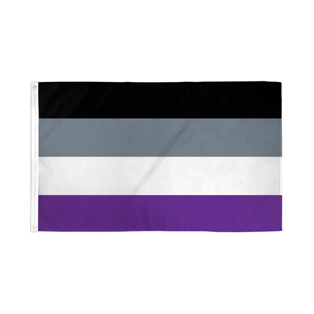 Asexual Pride Flag - Rebellious Unicorns