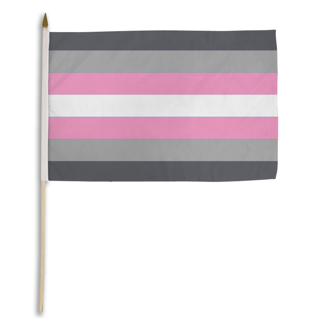 Demigirl Pride Flag - Rebellious Unicorns