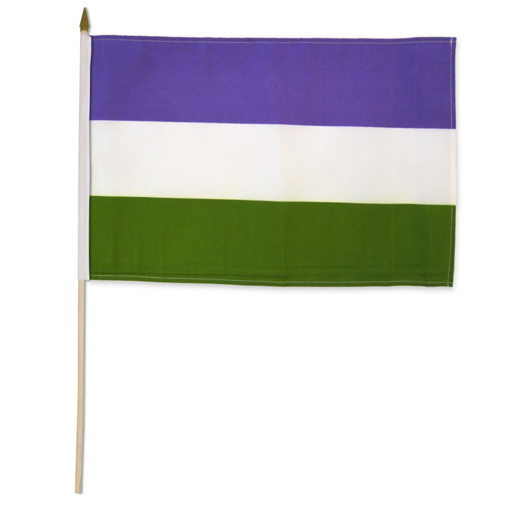 GenderQueer Pride Flag - Rebellious Unicorns