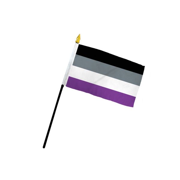 Asexual Pride Flag - Rebellious Unicorns