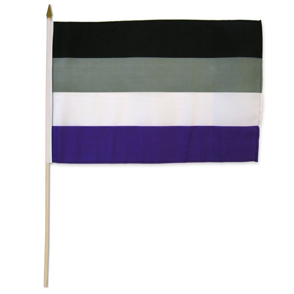 Asexual Pride Flag - Rebellious Unicorns