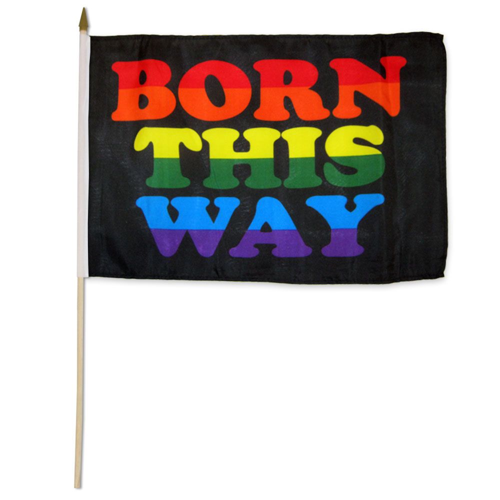 Born This Way Flag - Rebellious Unicorns