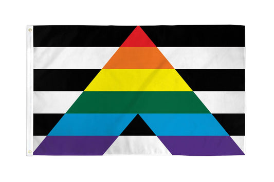 Gay Straight Alliance Pride Flag - Rebellious Unicorns