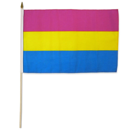 Pansexual Pride Flag - Rebellious Unicorns